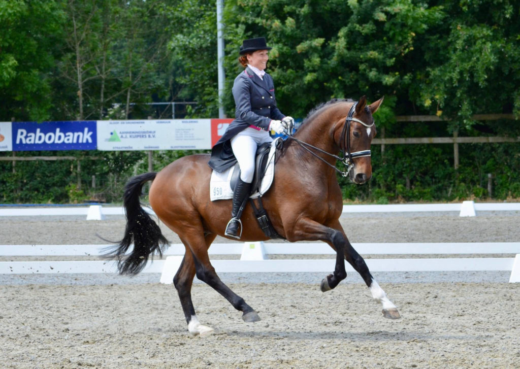 Nicky Star met haar Grand Prix paard Wendel helpt jou, samen met het hele team op weg naar jouw droomdoel!